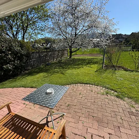 In Der Naehe Von Baden-baden *